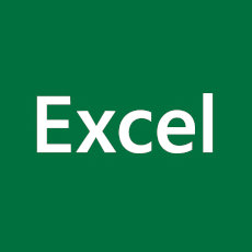 Financial Statements Analysis with Excel